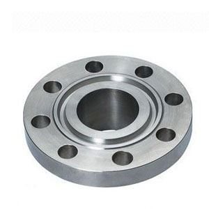 Ring Joint Flange Supplier